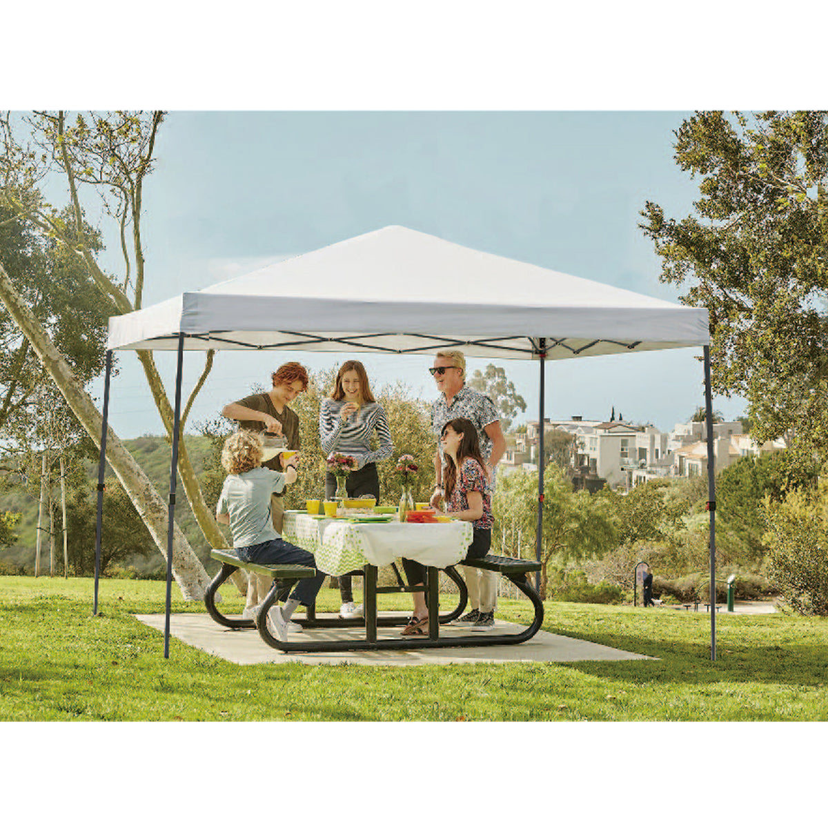 10x10 Straight Leg Canopy F864436