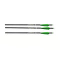 20 Arrows Carbon 3 Pack T391723