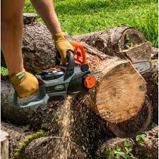 14x22 40V Lithium-Ion Cordless Chainsaw H1303