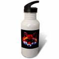 21 oz Sports Water Bottle H20975