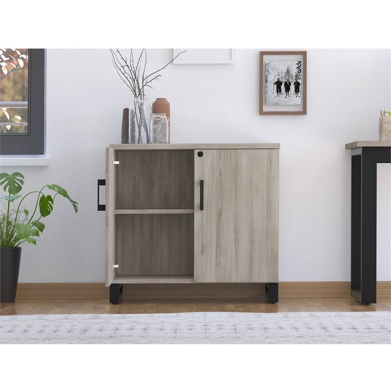 Gray Weathered Oak 2-Door Storage Cabinet P6939
