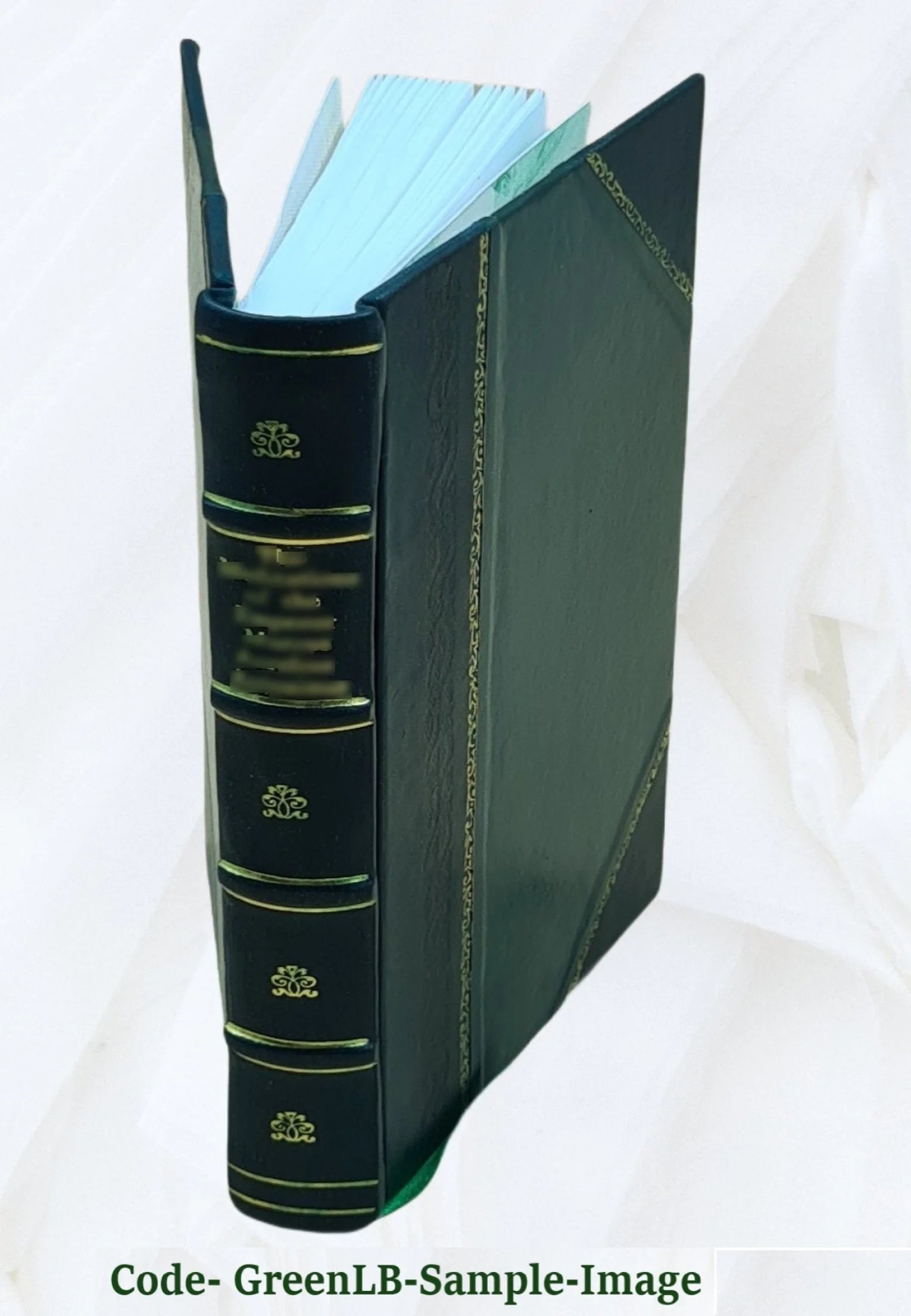 Leather Bound Book H323