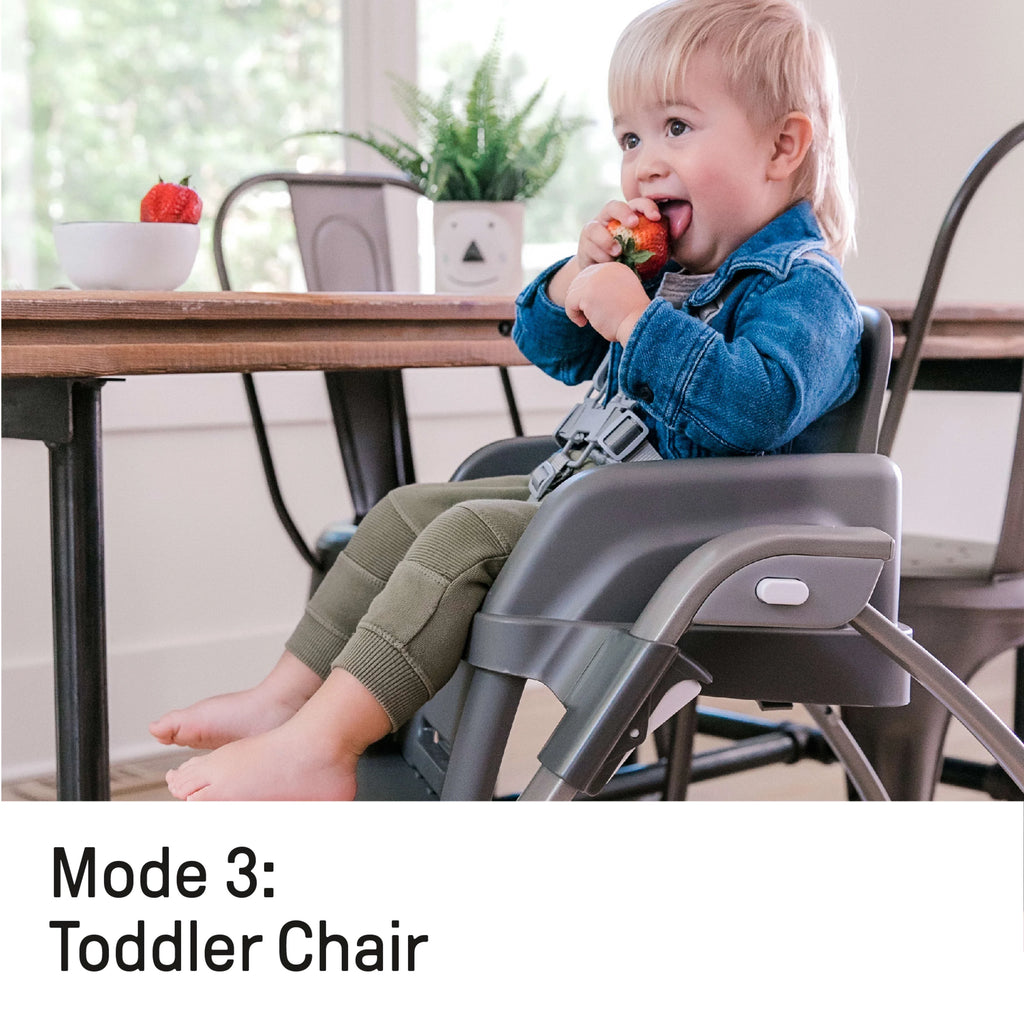 4-in-1 High Chair Toddler Chair Booster Seat P57554