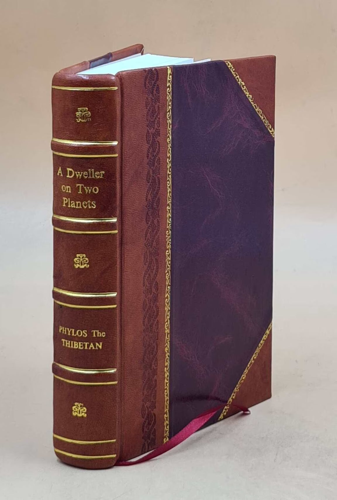 Leather Bound Book H323