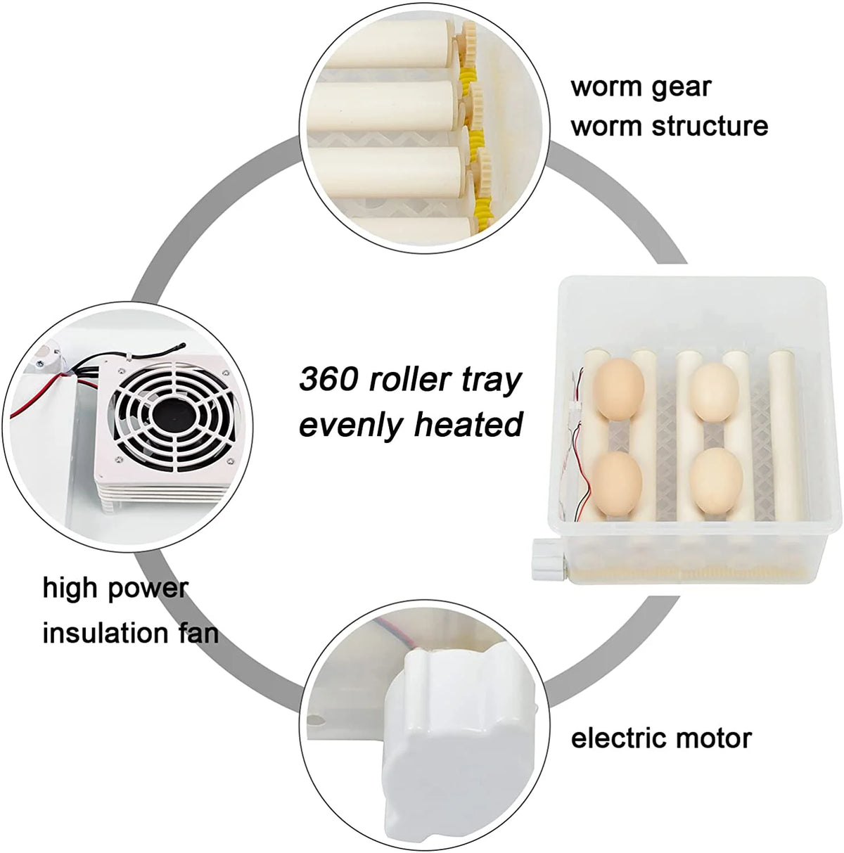 16 Eggs Incubator with Automatic Egg Turner G25291