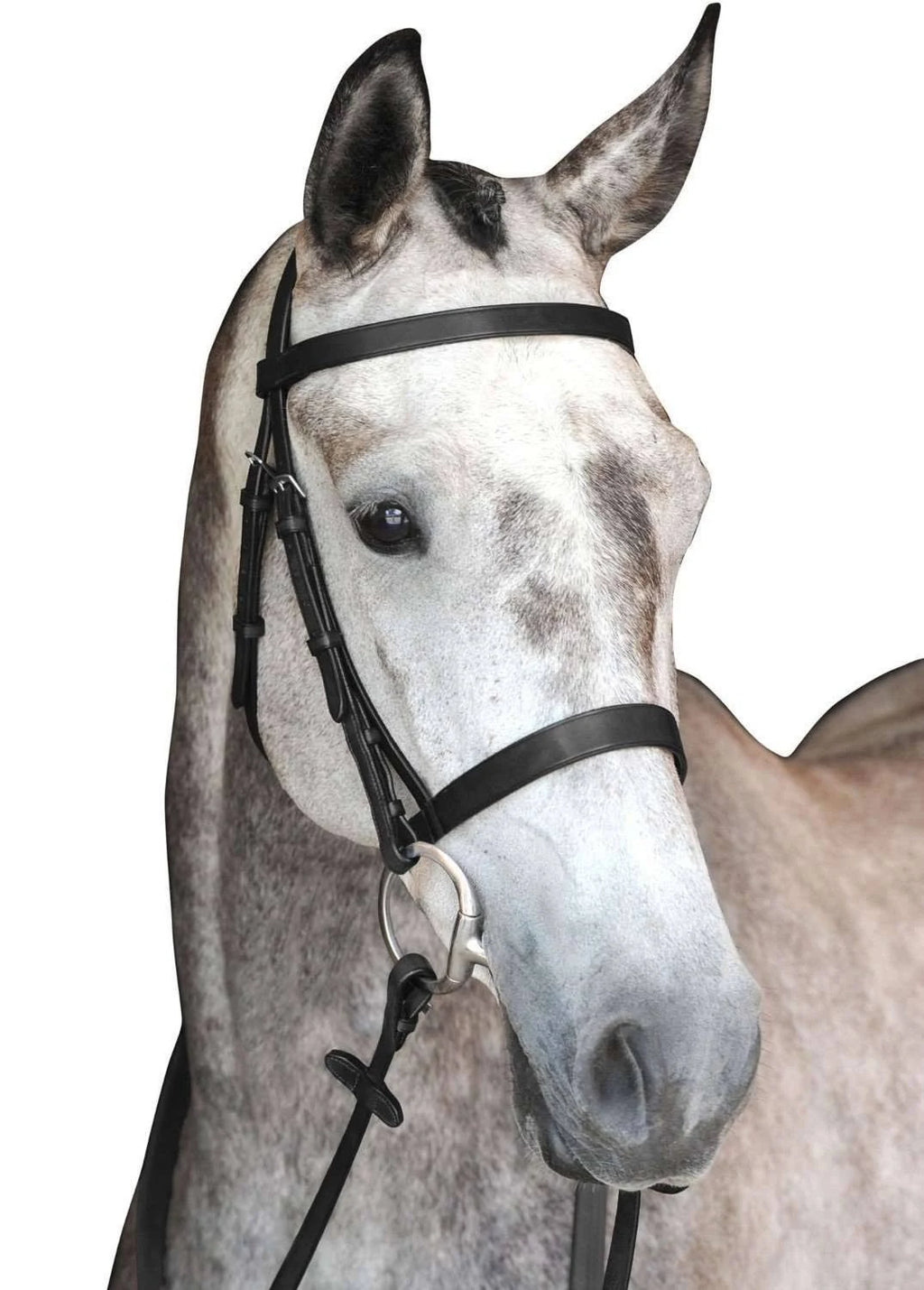 Black Cavesson Bridle G4472