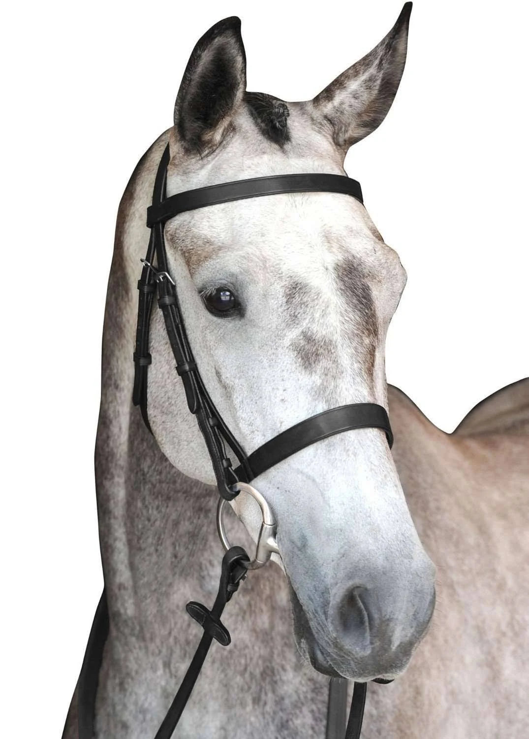 Black Cavesson Bridle G4472