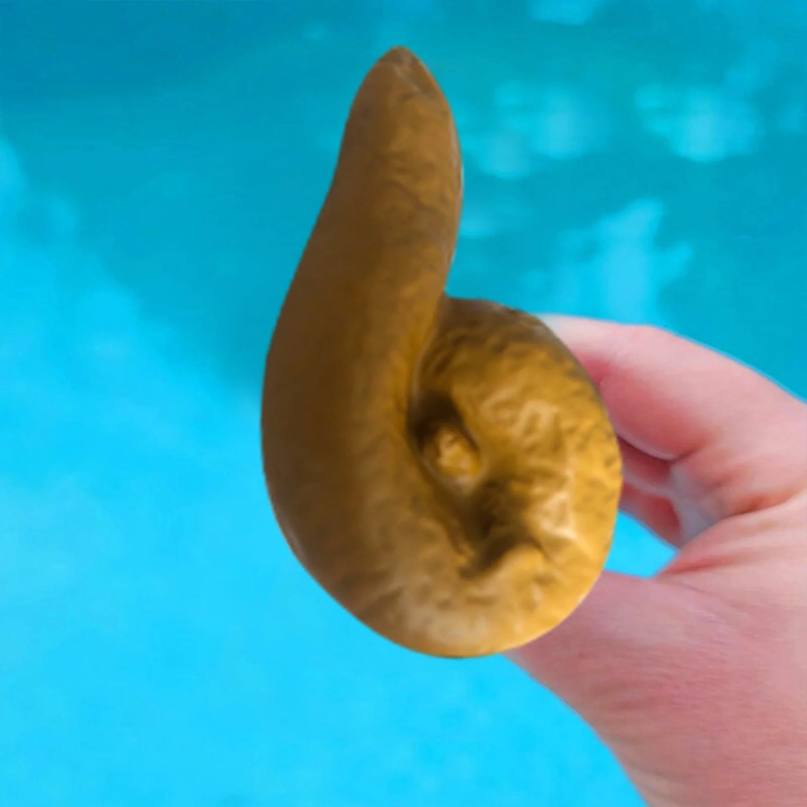 Pool Floating Poop Prank E411484