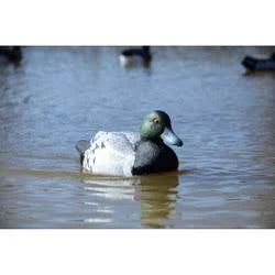 Battleship Swimmer 12 Volt Motion Bluebill Duck Decoy T9497