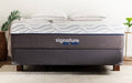 Queen Plush Standard Mattress Set H338516