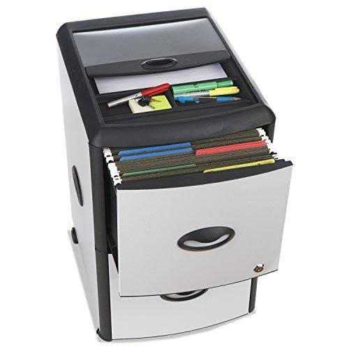 2-Drawer Mobile File Cabinet with Lock, Metal T45930