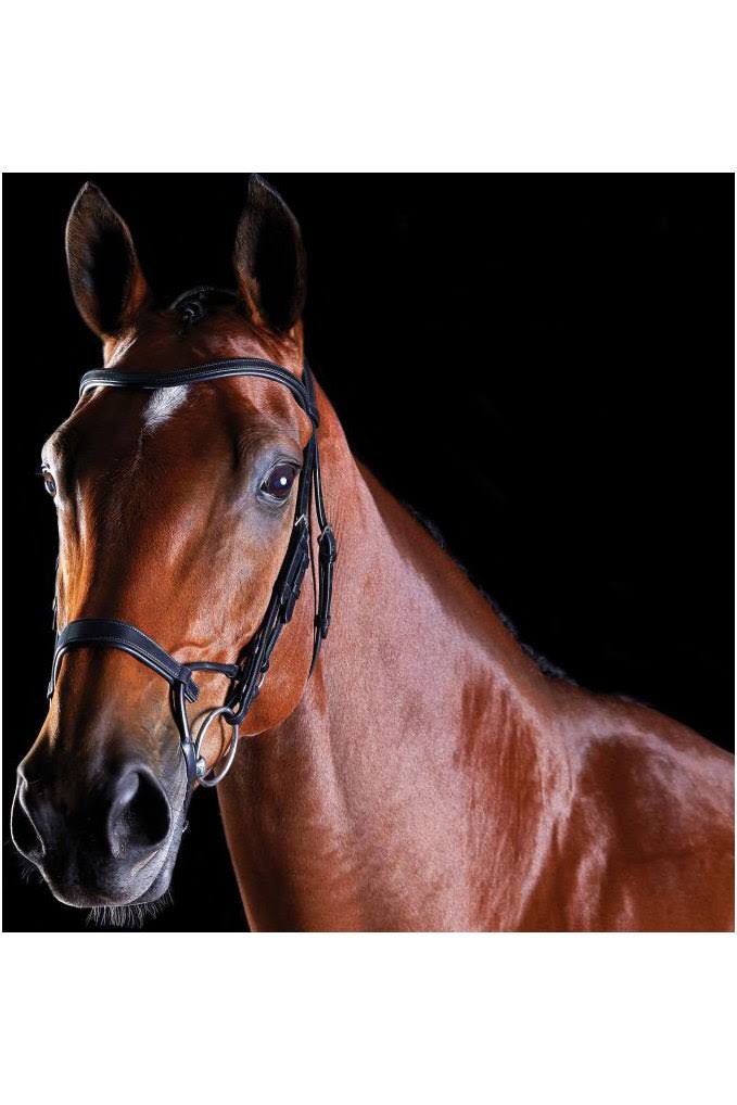 Black Full Training Bridle H152850