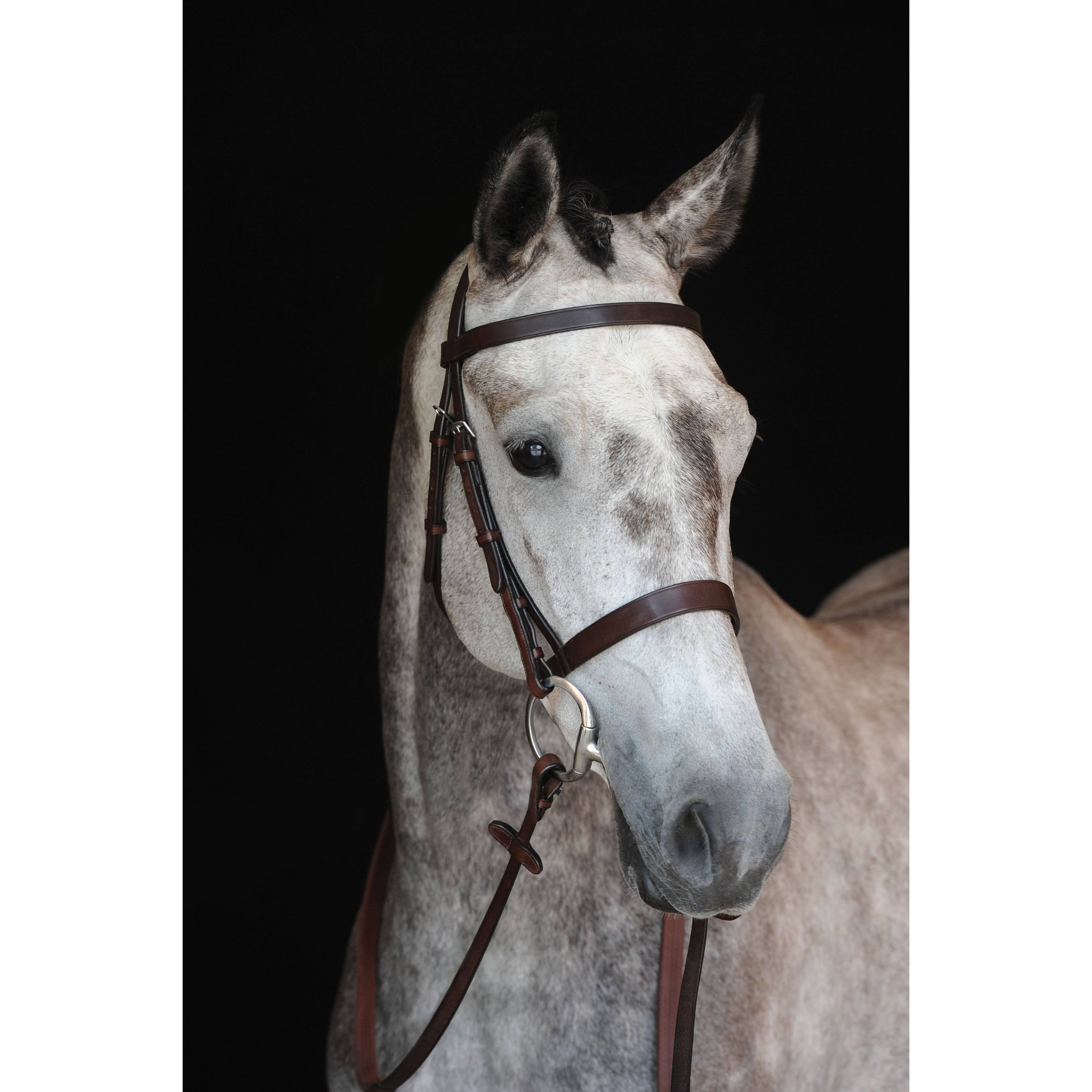 Black Cavesson Bridle G4472