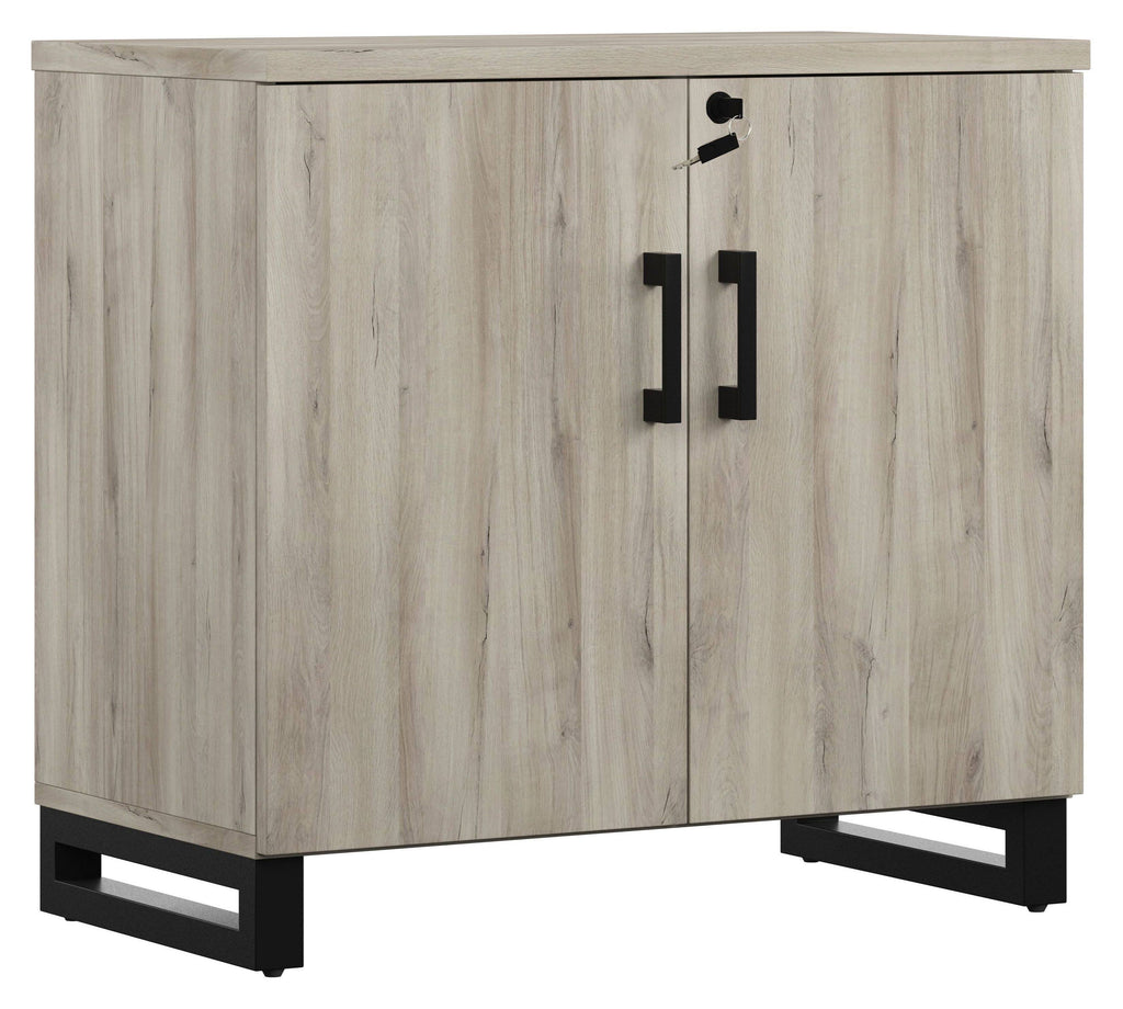 Gray Weathered Oak 2-Door Storage Cabinet P6939