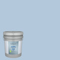 Interior Paint (5-Gallon) R6243