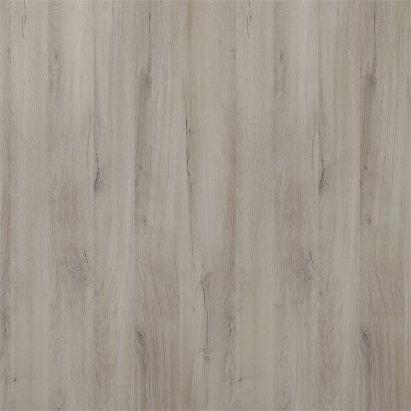 Gray Weathered Oak 2-Door Storage Cabinet P6939
