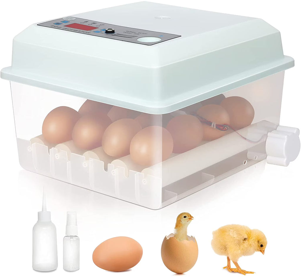 16 Eggs Incubator with Automatic Egg Turner G25291