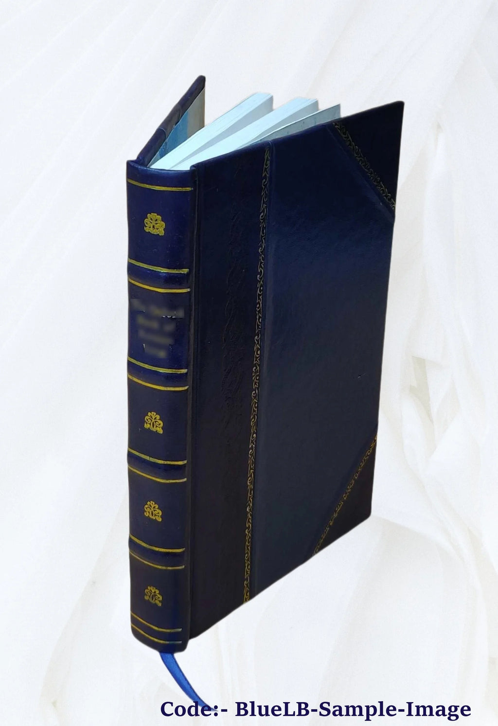 Leather Bound Book H323