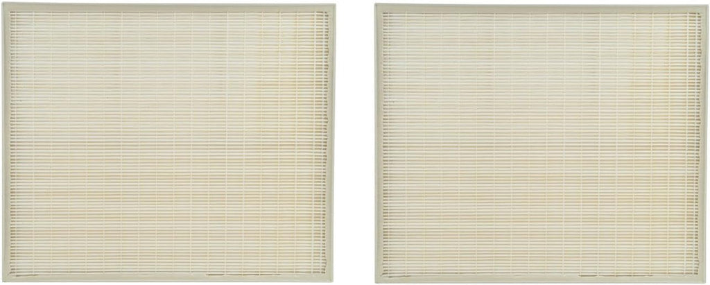 True HEPA Carbon Pre Filter Set T429575