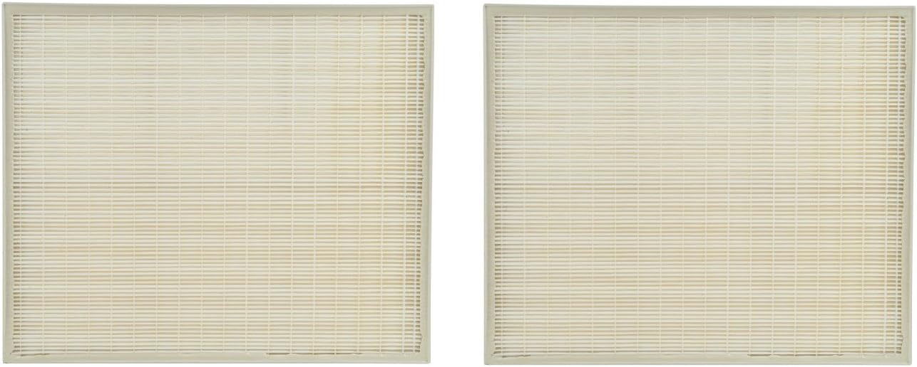 True HEPA Carbon Pre Filter Set T429575