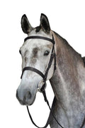 Black Cavesson Bridle G4472