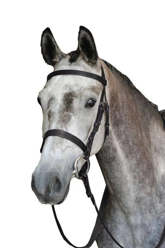Black Cavesson Bridle G4472