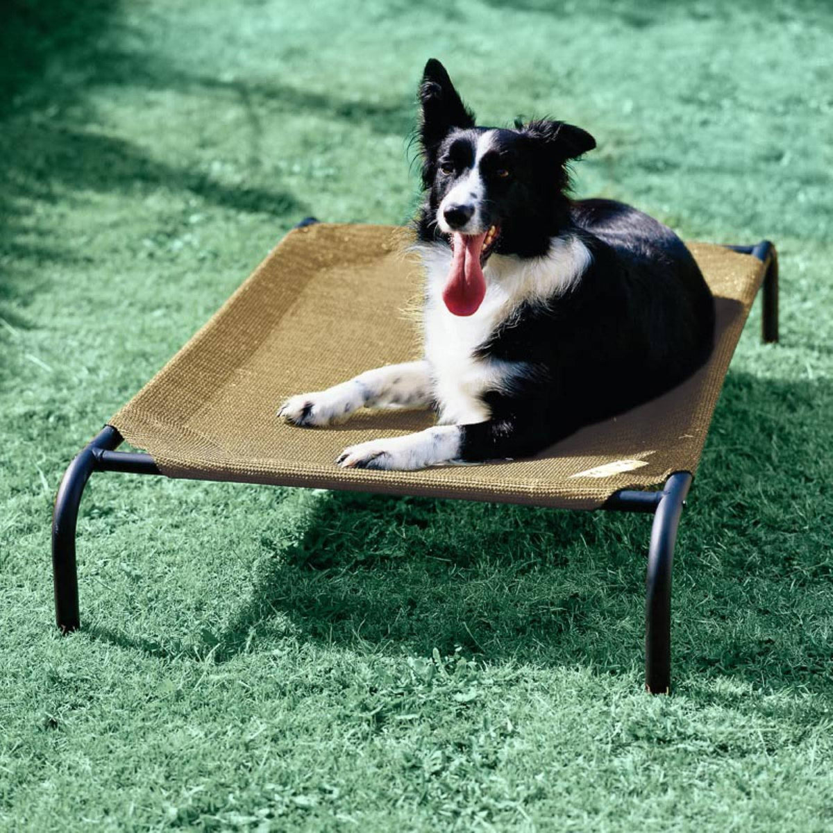 Elevated Pet Bed Desert Sand C964762