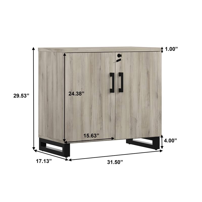 Gray Weathered Oak 2-Door Storage Cabinet P6939