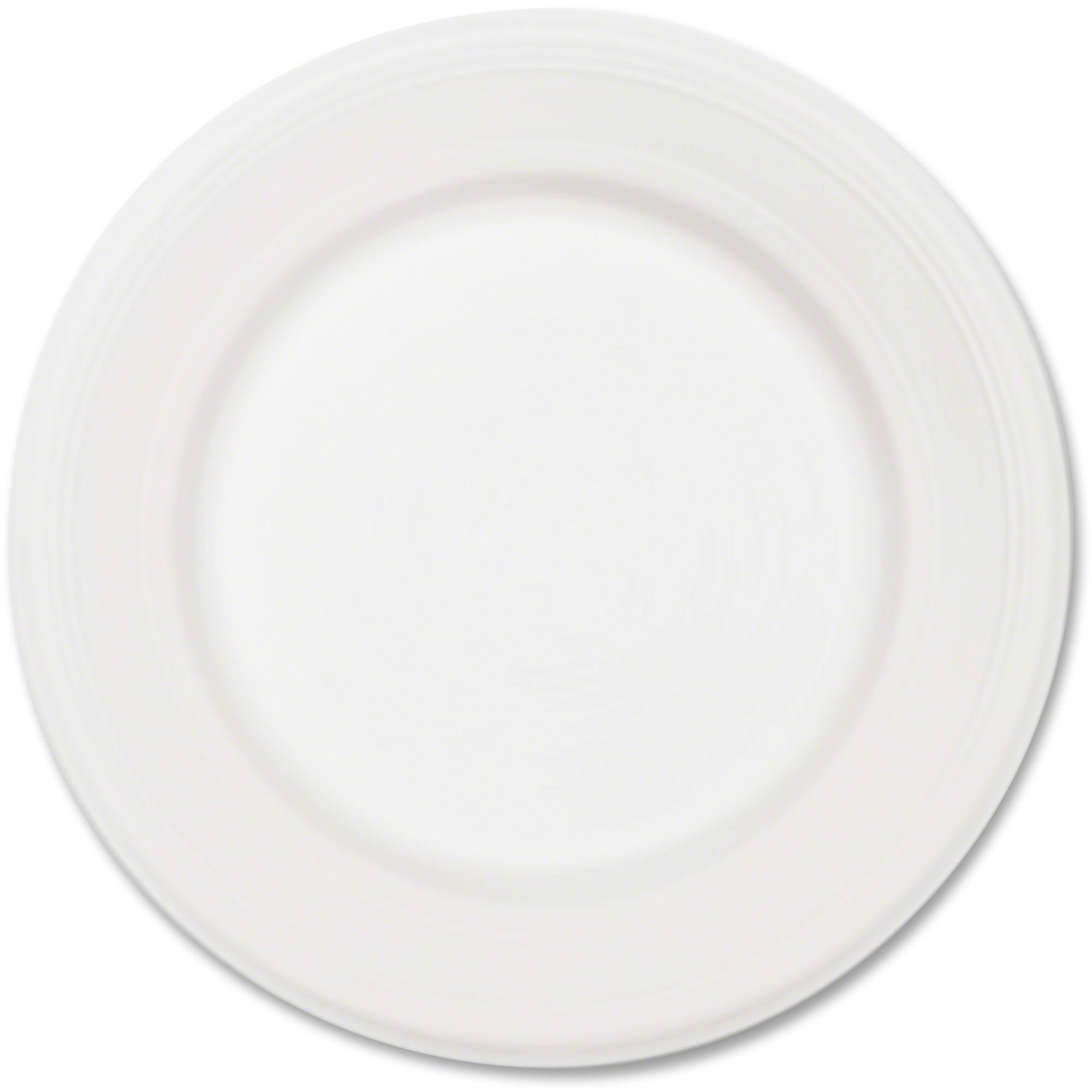 White Paper Plate, 10 1/2 Dia, 500/Carton N6463