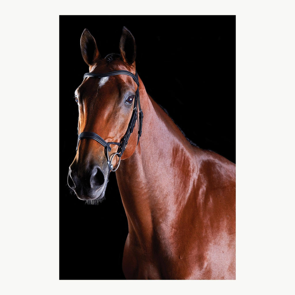Black Full Training Bridle H152850