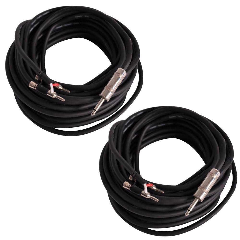 100 Foot Banana to 1/4 inch Speaker Cables G9946
