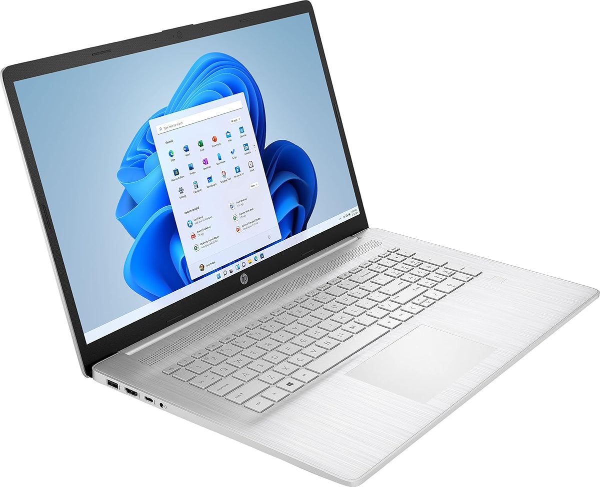 17.3 FHD Laptop, AMD Ryzen 5 5500U 6-Core, 8GB RAM, 256GB NVMe SSD, Natural Silver Y385024