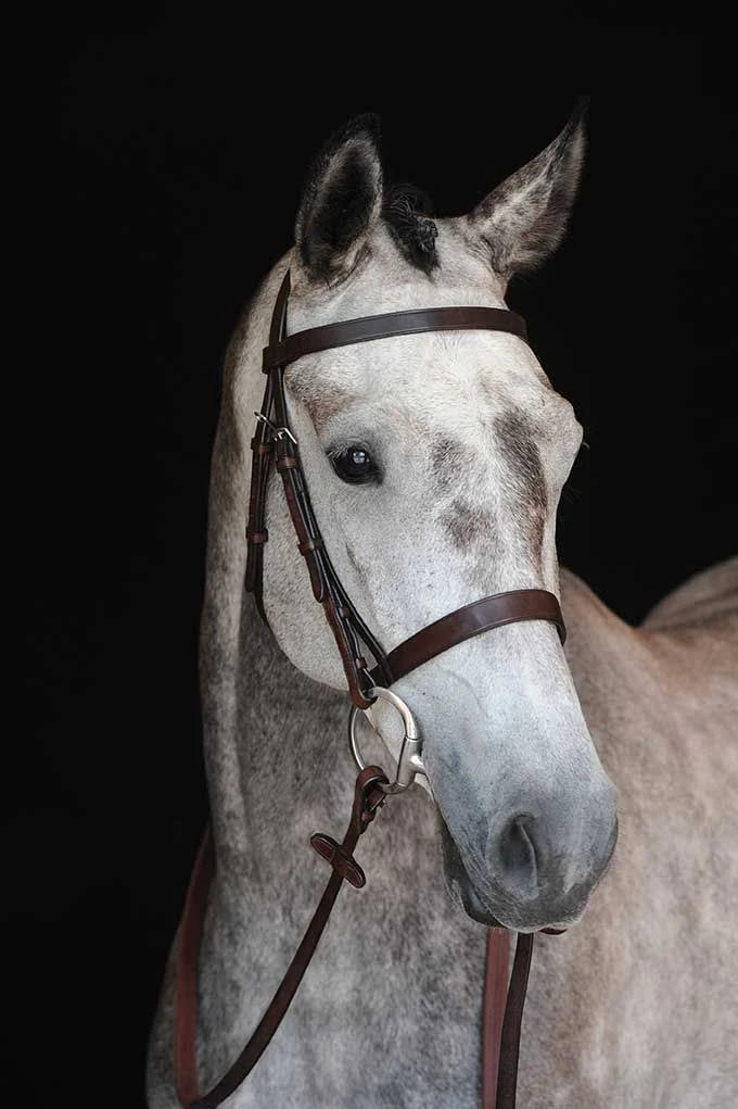 Black Cavesson Bridle G4472