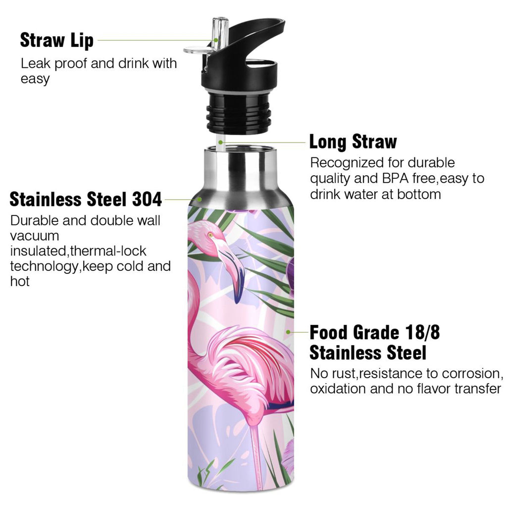 20 oz Insulated Stainless Steel Water Bottle with Straw Lid M122673