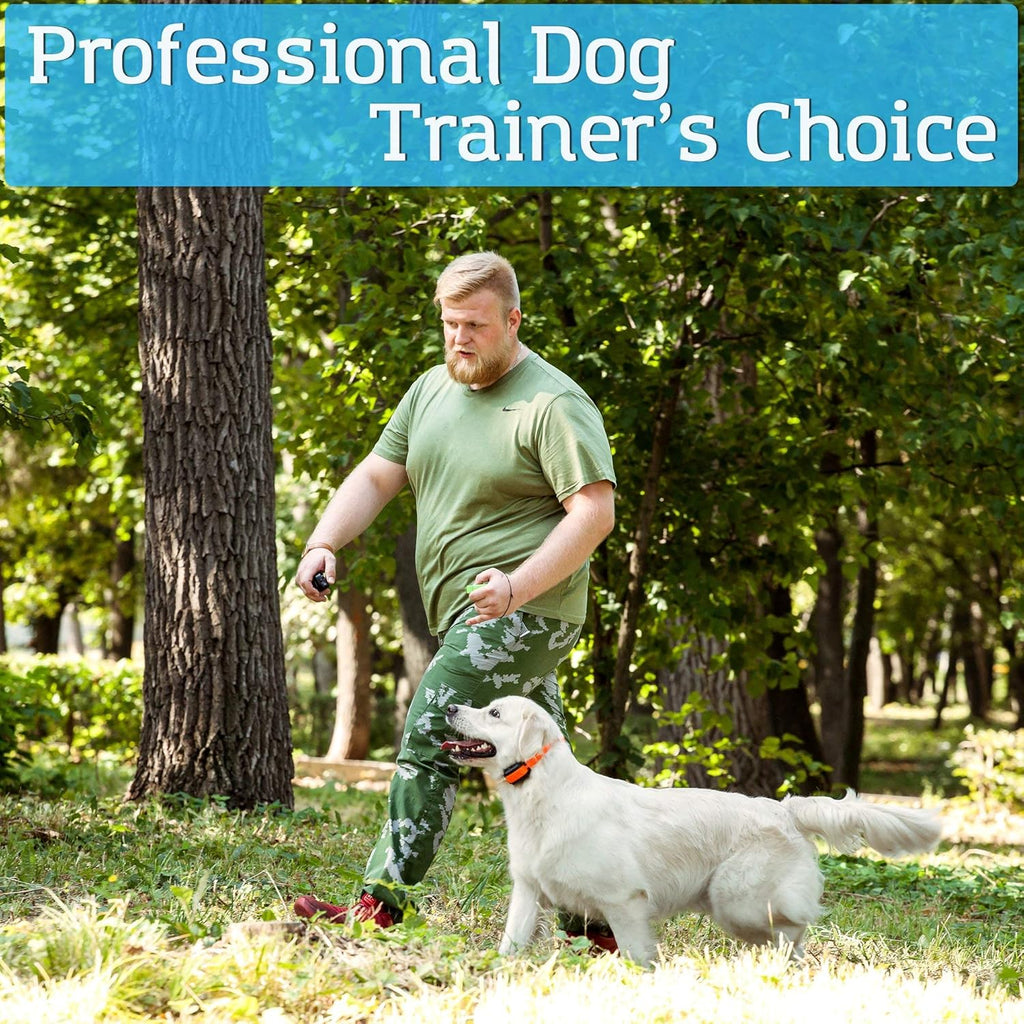 Rechargeable Waterproof Dog Training Shock Collar Pack of 2 S732