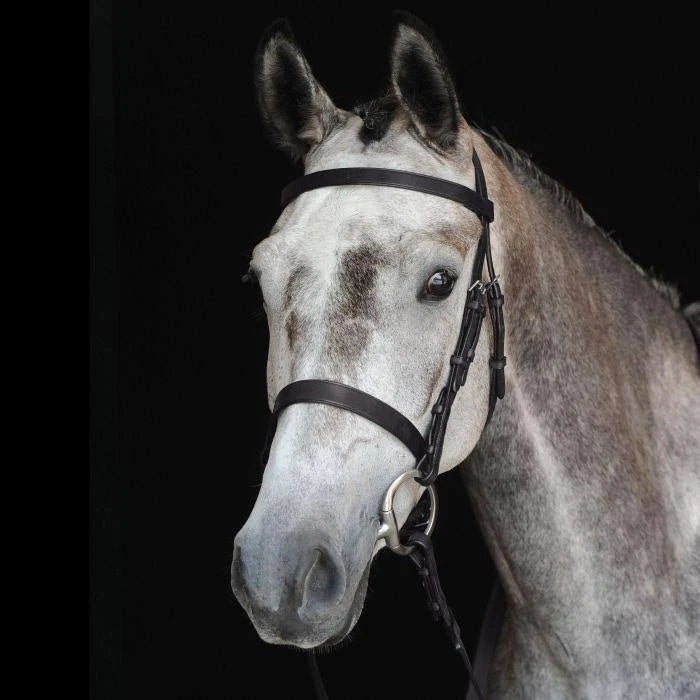 Black Cavesson Bridle G4472