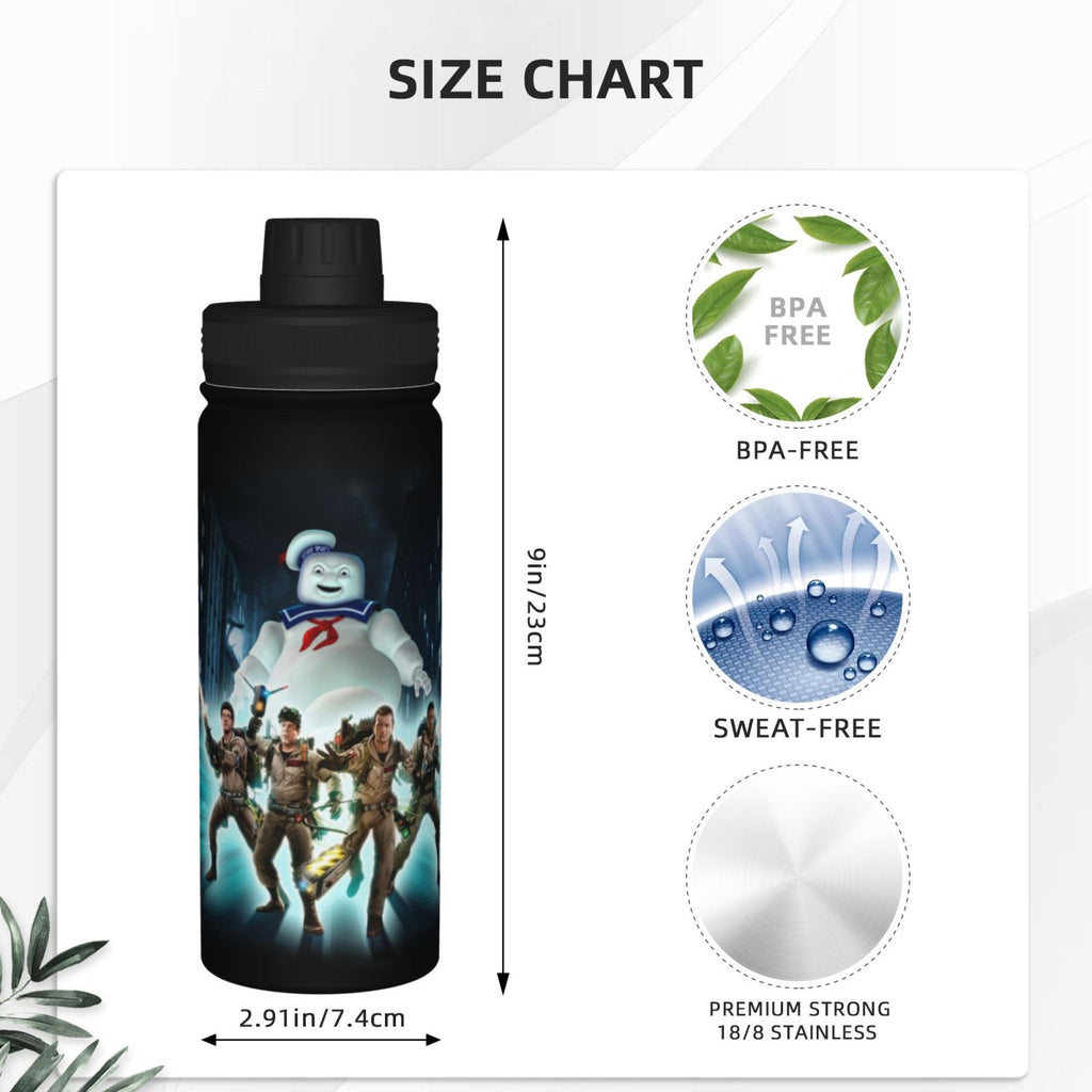 Insulated Stainless Steel Water Bottle 18OZ I656275