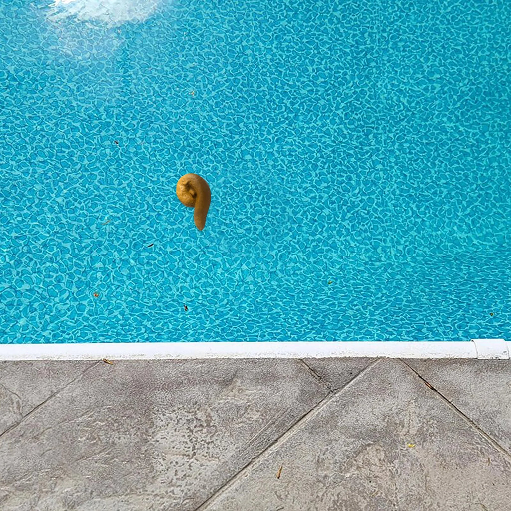 Pool Floating Poop Prank E411484