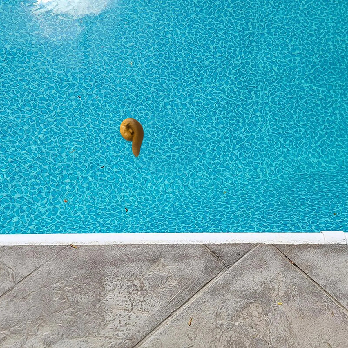 Pool Floating Poop Prank E411484