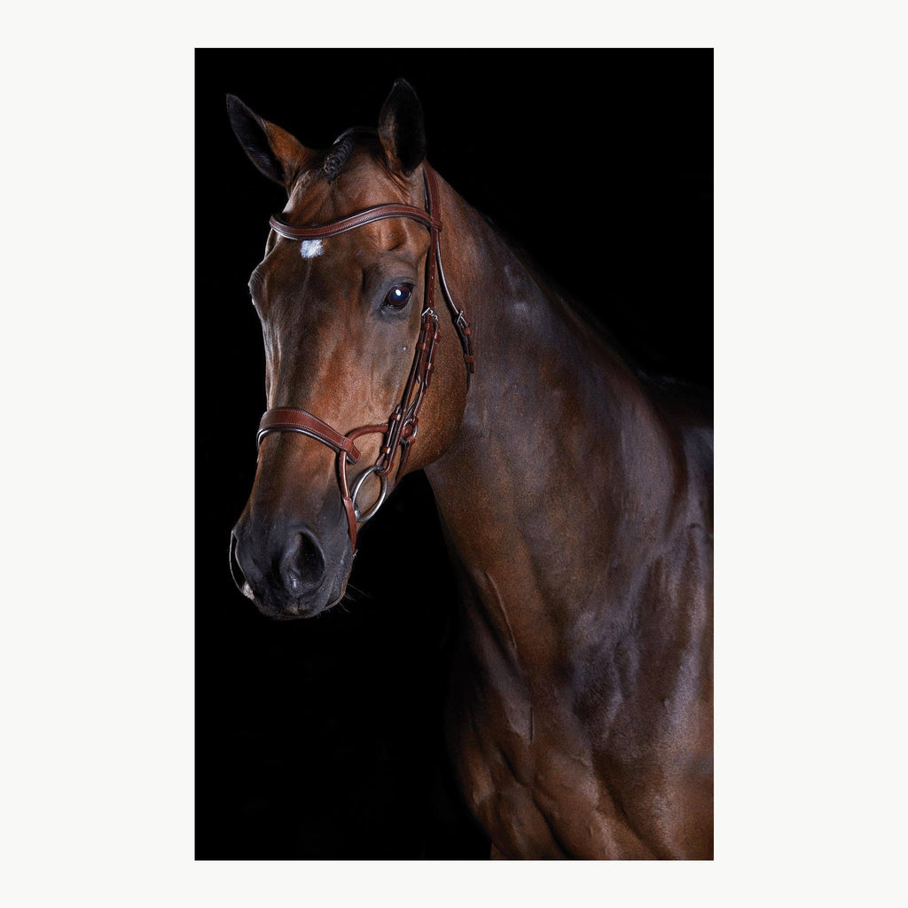 Black Full Training Bridle H152850