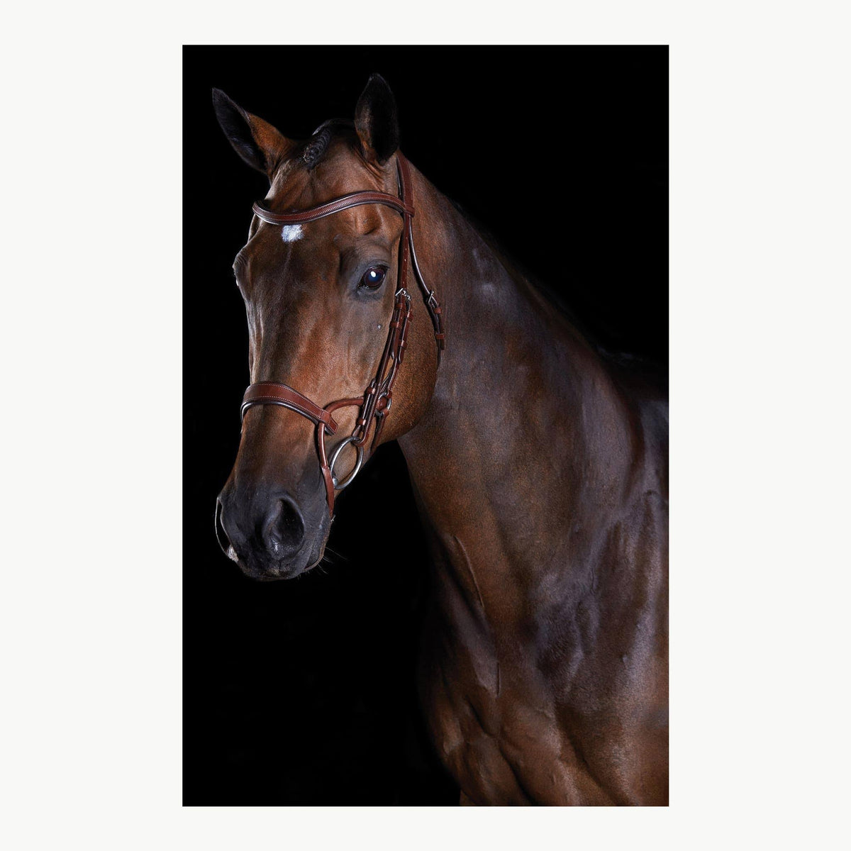 Black Full Training Bridle H152850