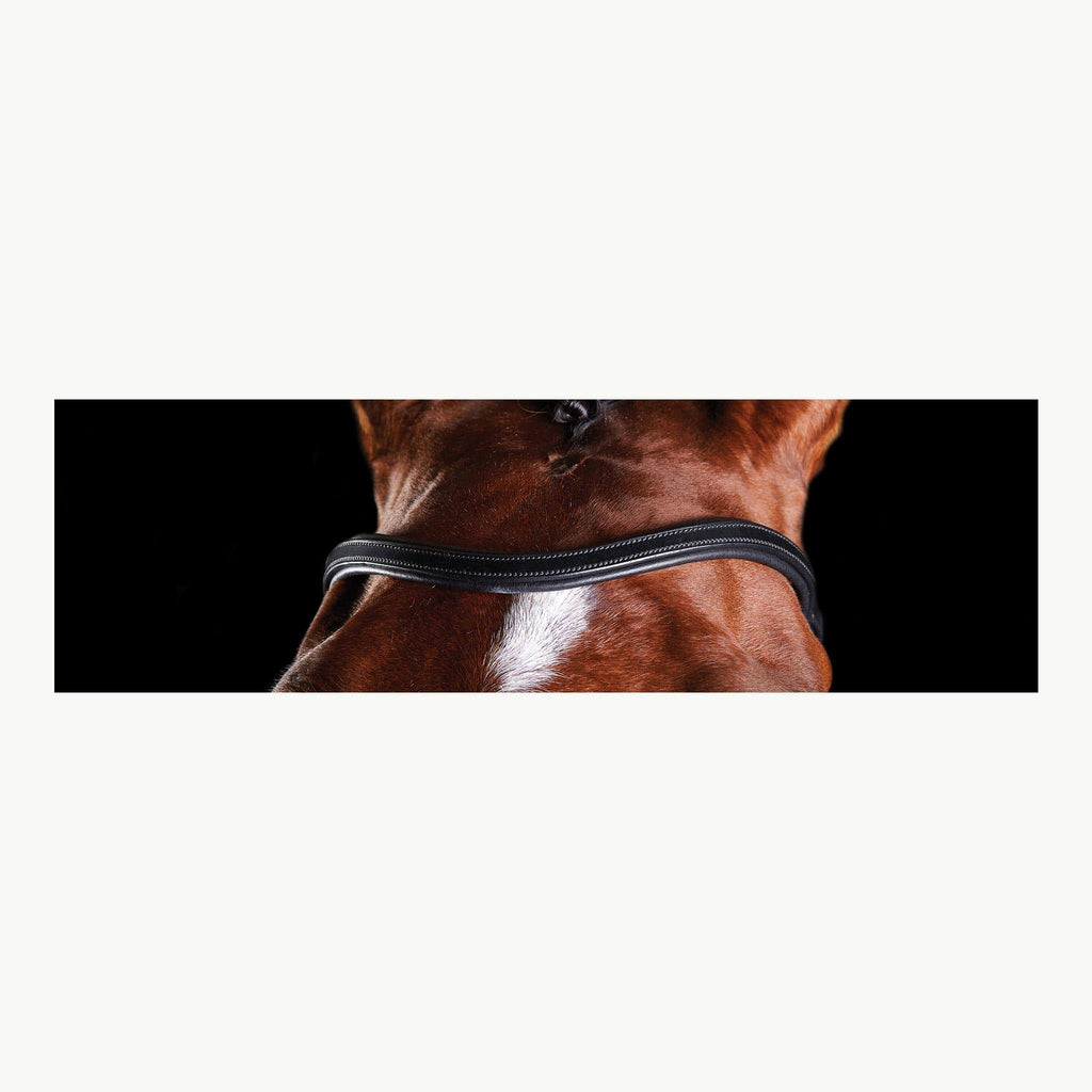 Black Full Training Bridle H152850