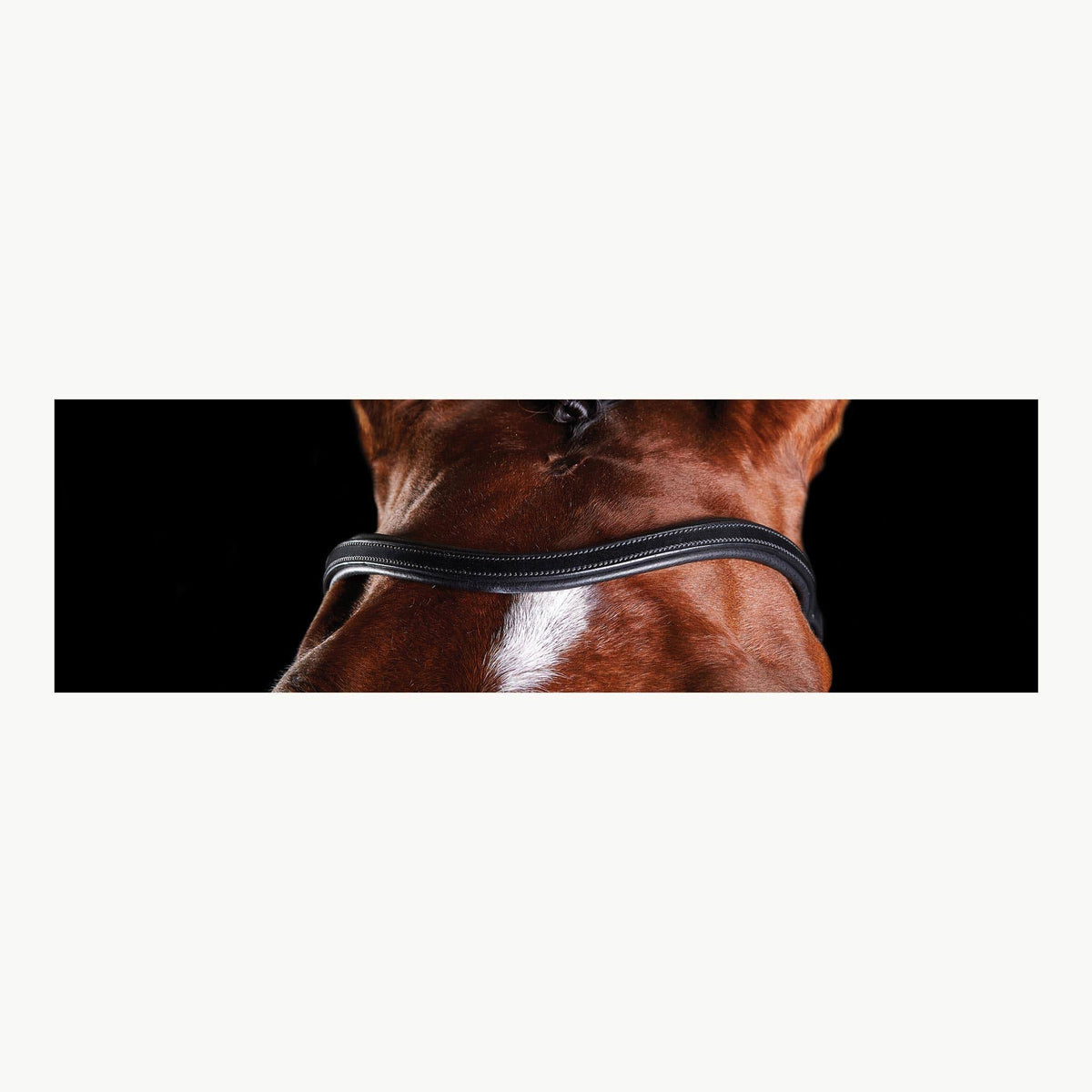 Black Full Training Bridle H152850