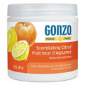 Citrus Odor Absorbing Gel 14 oz Jar V3155
