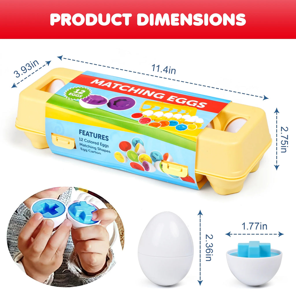 Matching Eggs with Yellow Eggs Holder D4766
