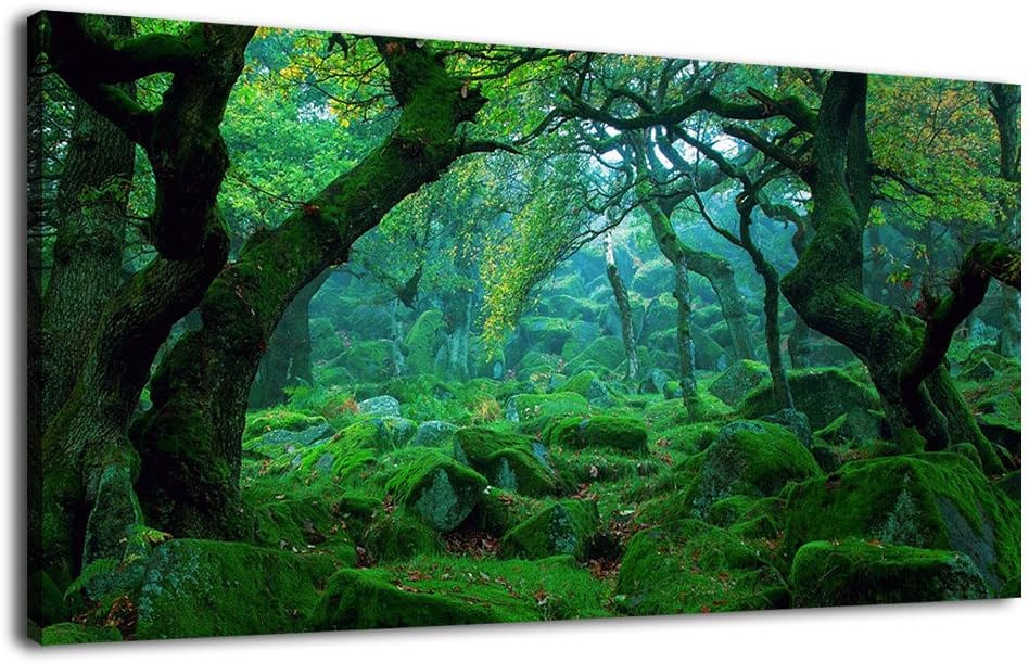 Framed Abstract Canvas Wall Art 20 x 40 A663831