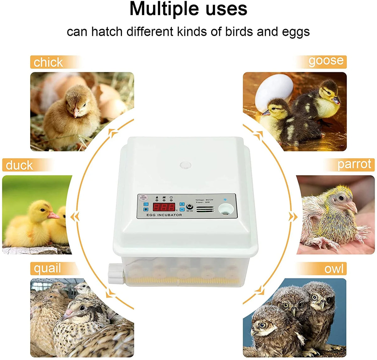 16 Eggs Incubator with Automatic Egg Turner G25291