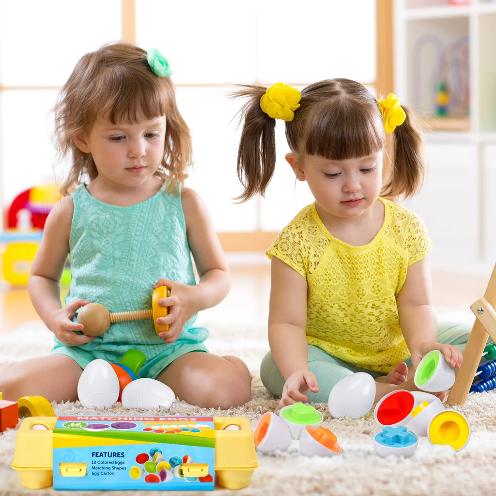 Matching Eggs with Yellow Eggs Holder D4766