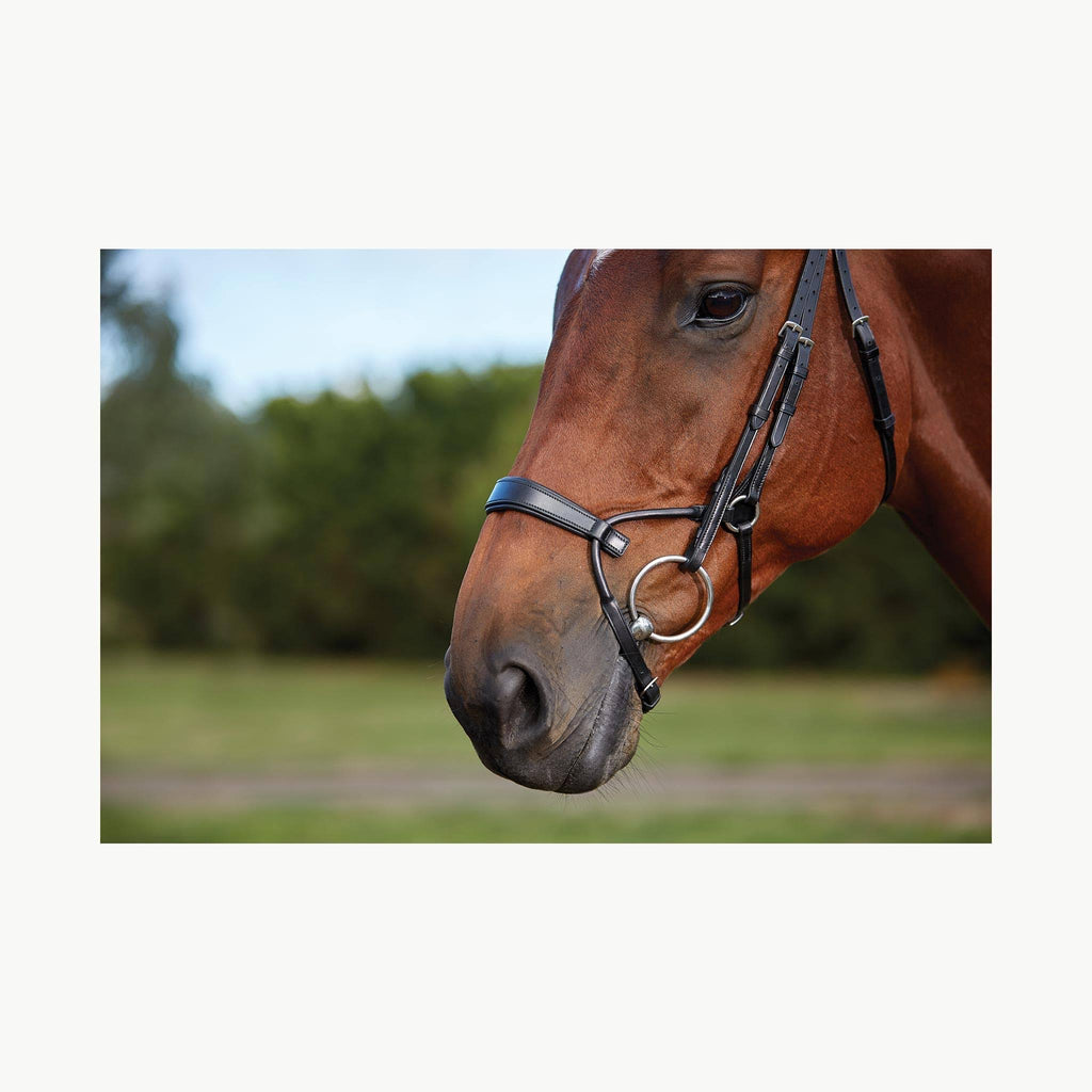 Black Full Training Bridle H152850
